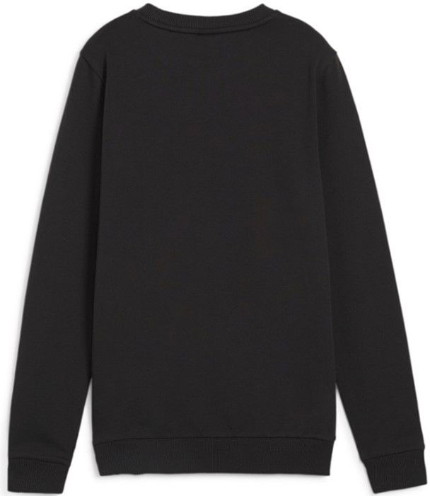 Pulover Puma teamGOAL Casuals Sweatshirt Črna | 658594-03, 1