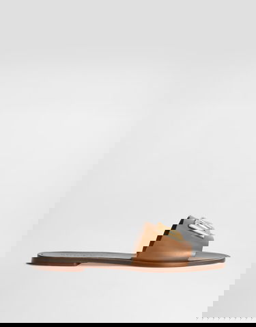 Modni dodatki Dolce & Gabbana Dolce & Gabbana Calfskin Flat Slides with Gold Hardware Rjava | CQ0619AW5768Z093, 0