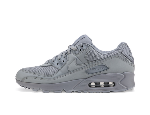 Superge in čevlji Nike Air Max 90 Siva | CN8490-001