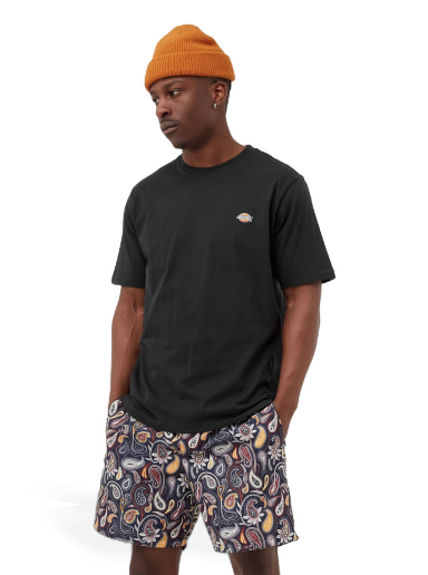 Majica Dickies MAPLETON TEE Črna | 194903388614
