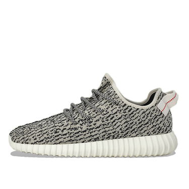 Superge in čevlji adidas Yeezy Yeezy Boost 350 "Turtle Dove" Siva | AQ4832, 2