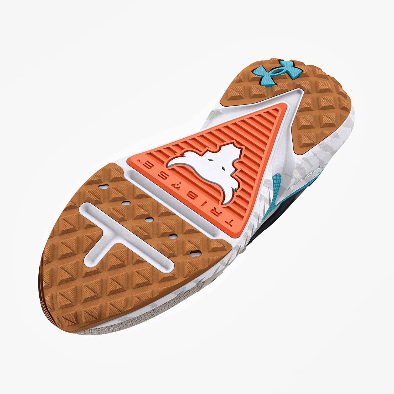 Superge in čevlji Under Armour Project Rock 5 W Siva | 3025436-101, 1