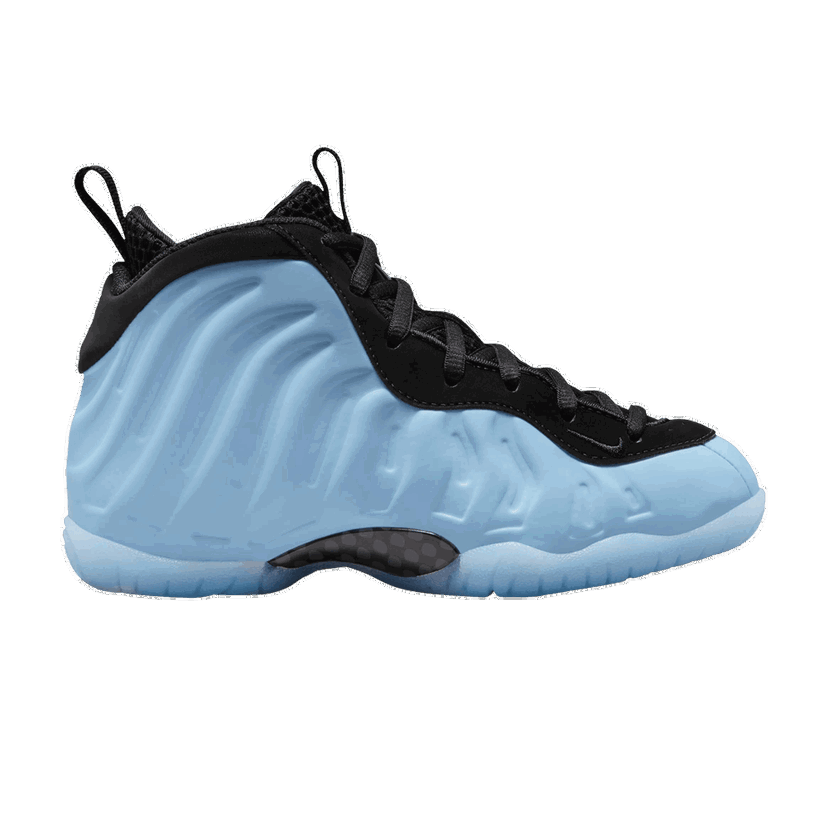Superge in čevlji Nike Posite One PS Modra | HJ7655-400
