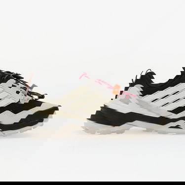 Superge in čevlji adidas Performance Terrex Skychaser GORE-TEX Hiking Shoes Bež | IH2802, 2
