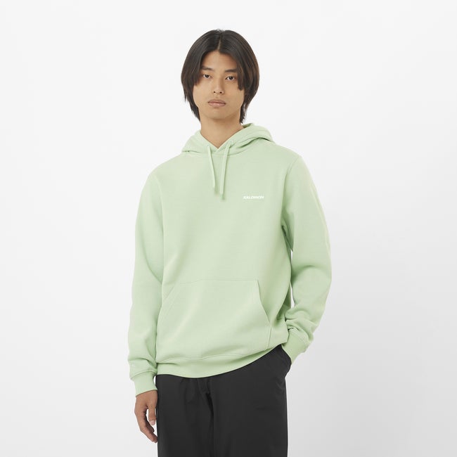 Pulover Salomon Hoodie with Chest Logo Zelena | LC2524100