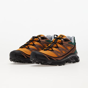 Superge in čevlji Salomon XT-6 Expanse Rjava | 417053, 5