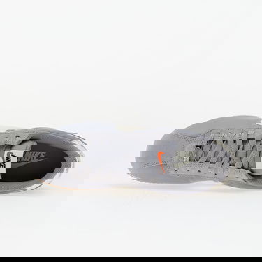 Superge in čevlji Nike Cortez Textile Siva | DZ2795-005, 3