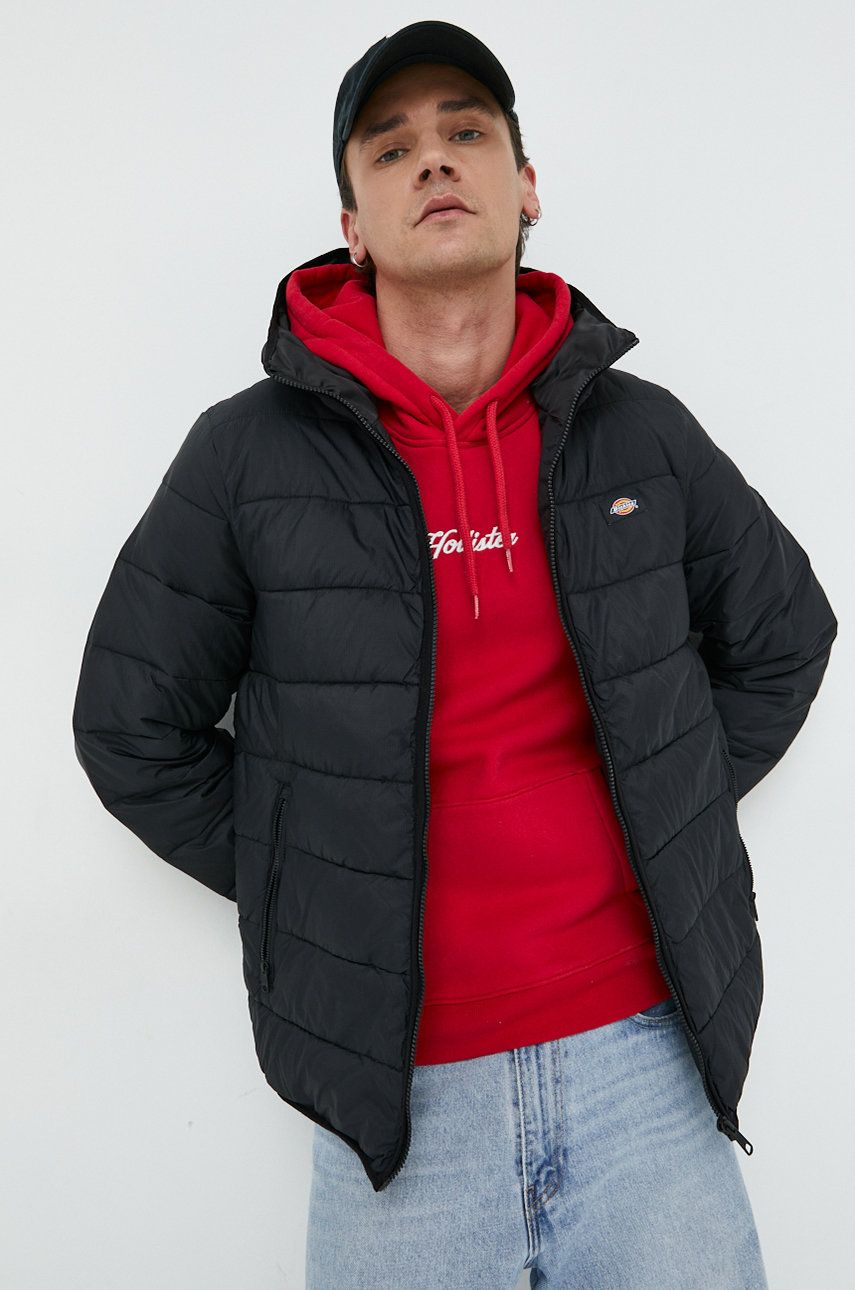 Puhovka Dickies Jacket Črna | DK0A4Y3XBLK1, 0