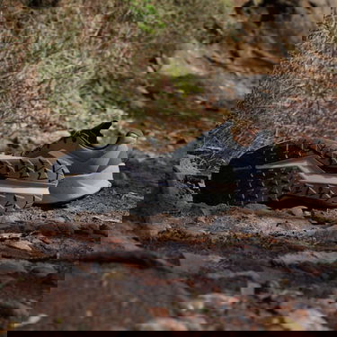 Superge in čevlji adidas Performance TERREX Soulstride Flow Siva | IG8923, 3