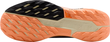 Superge in čevlji Nike Pegasus Trail 5 GORE-TEX Večbarvna | fq0912-011, 4
