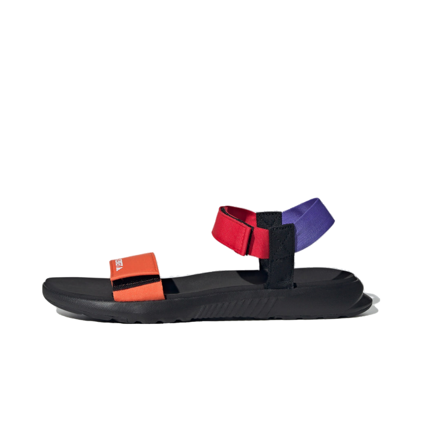 Superge in čevlji adidas Performance Terrex Hydroterra Light Sandals Večbarvna | JQ2569