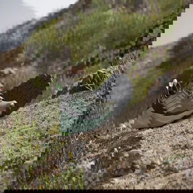 Superge in čevlji adidas Performance adidas TERREX TRAILMAKER 2 GORE-TEX Siva | IE5150, 2