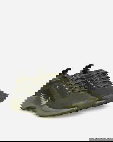 Superge in čevlji Nike Pegasus Trail 5 GORE-TEX Zelena | HQ7494-300, 2