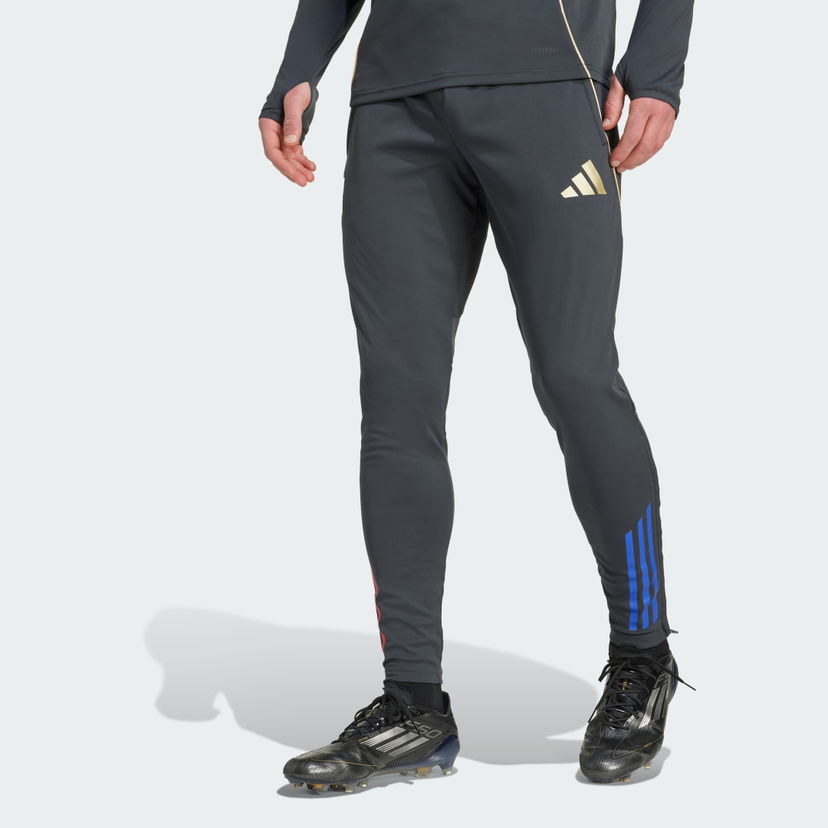 Trenirka adidas Performance Olympique Lyon Tiro 25 Competition Training Pants Siva | JL7707
