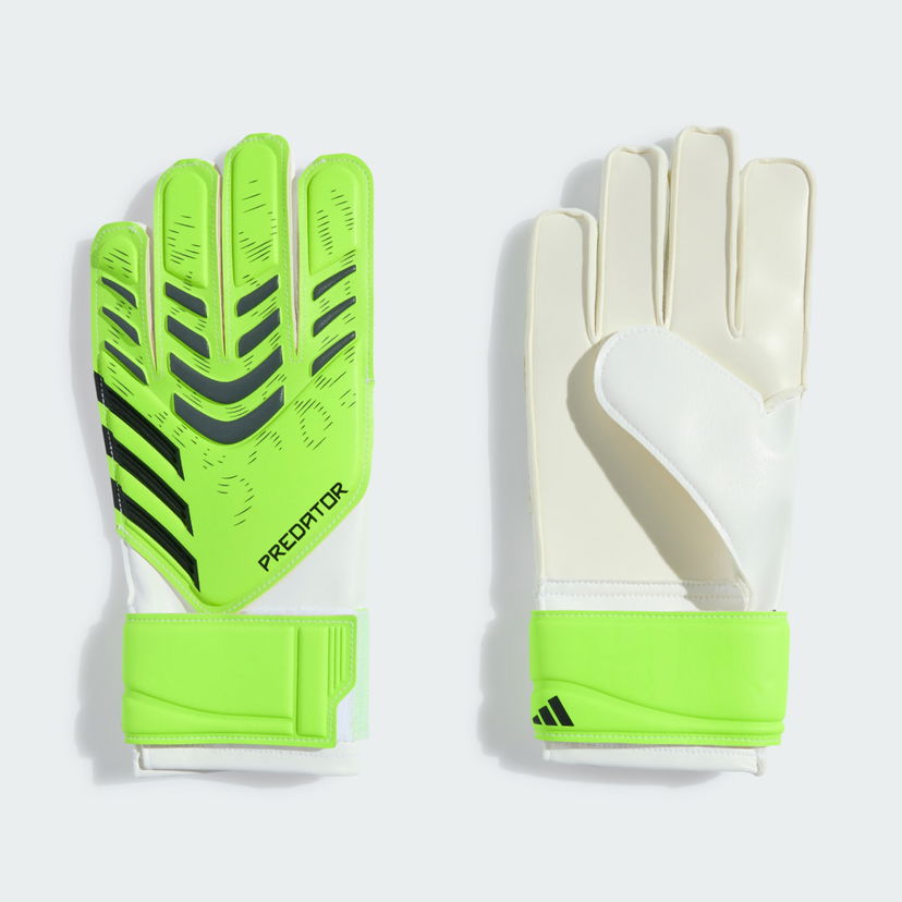 Rokavice adidas Performance Predator Training Goalkeeper Gloves Zelena | JN5362