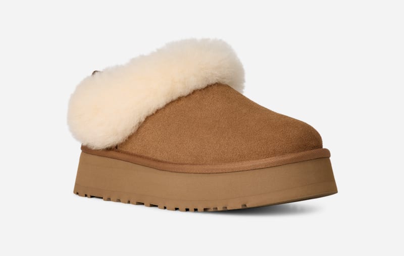 Superge in čevlji UGG Tazzelle Slippers Rjava | 1171393-CHE, 1