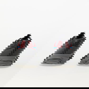 Superge in čevlji Reebok DMX Trail Shadow Classic Siva | IE2154, 3