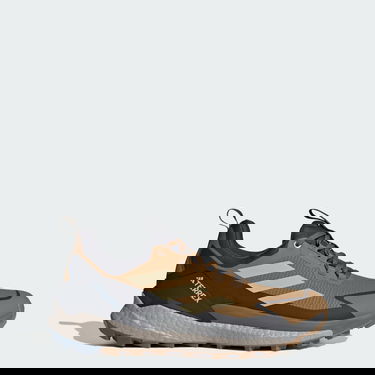 Superge in čevlji adidas Performance Terrex Free Hiker 2.0 Low Gore-Tex Rjava | JP5611, 0