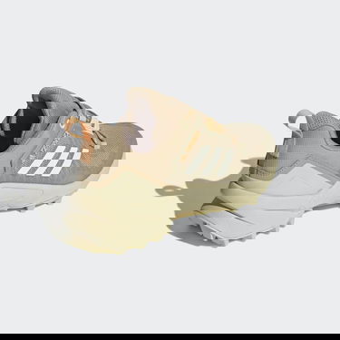 Superge in čevlji adidas Performance Terrex Swift R3 Hiking Bež | GZ3047, 1