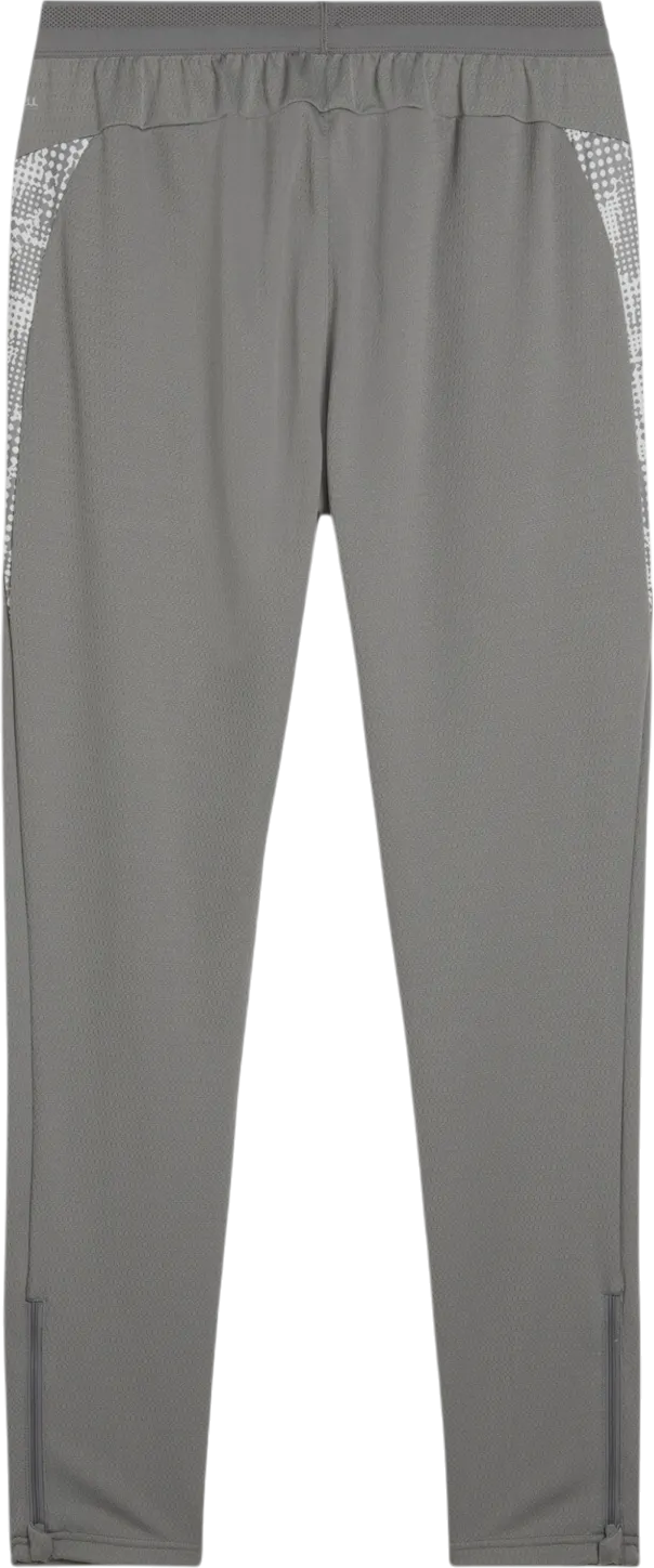 Trenirka Puma teamCUP Training Pants Siva | 659175-13, 1
