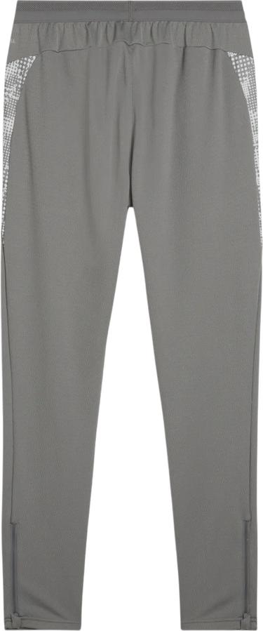 Trenirka Puma teamCUP Training Pants Siva | 659175-13, 1