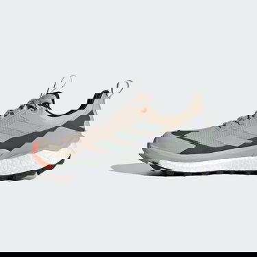 Superge in čevlji adidas Performance Terrex Free Hiker 2.0 Low GORE-TEX Bež | IG3202, 6
