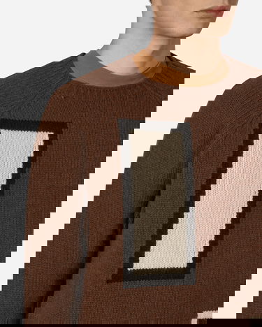 Pleteni pulover Levi's Raglan Sweater Rjava | A2981 0000, 5