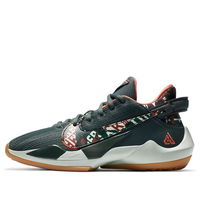 Zoom Freak 2
