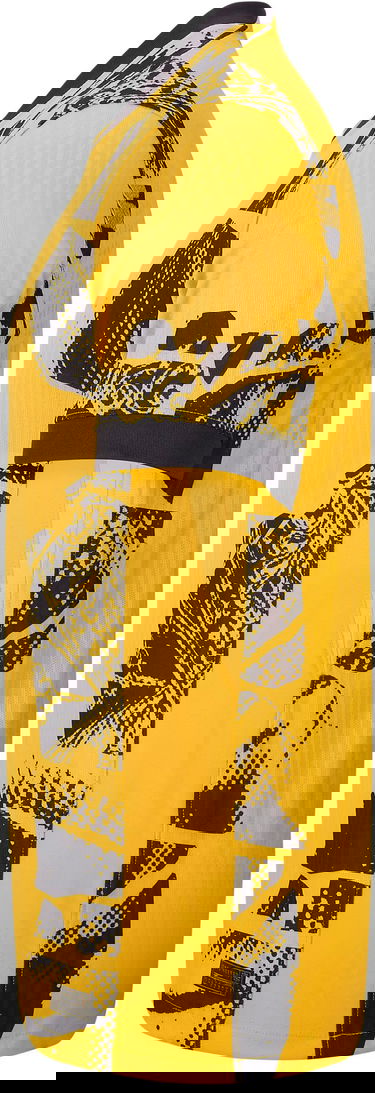 Dres Nike INTER MNK DFADV JSYSS MATCH 3R 2024/25 Rumena | fz6278-741, 2