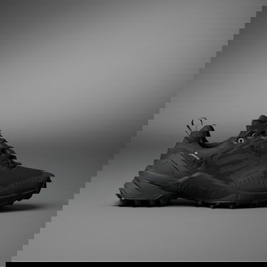 Superge in čevlji adidas Performance Terrex Swift R3 GTX Črna | IE7634, 0