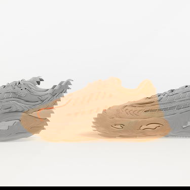 Superge in čevlji adidas Originals Oznova W Bež | HP2886, 0