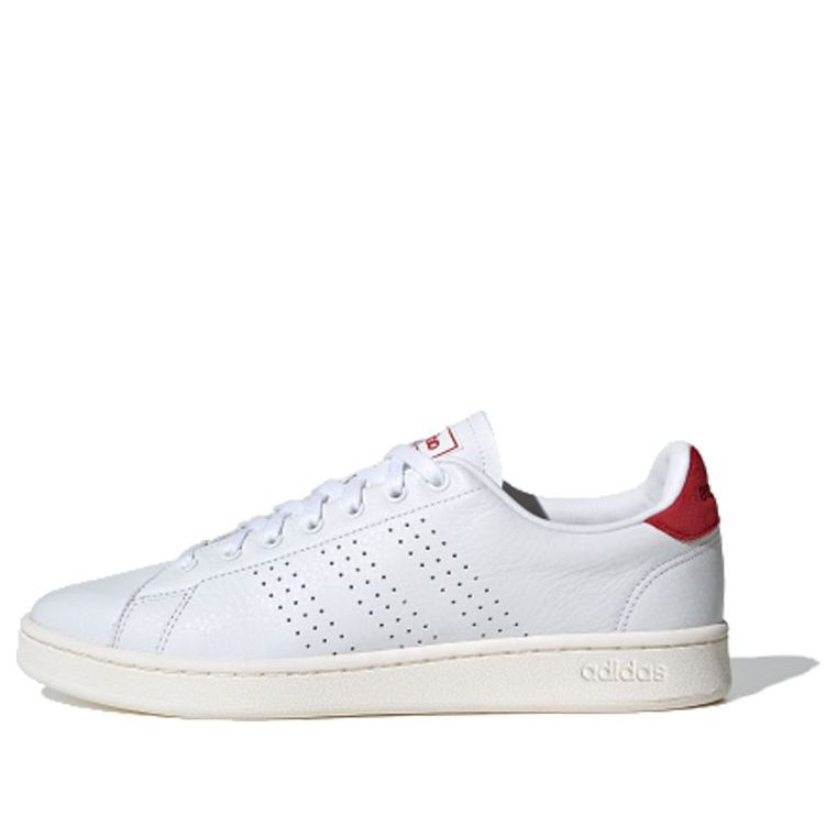 Superge in čevlji adidas Originals Advantage Bela | EG3773