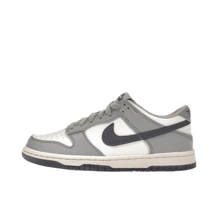 Superge in čevlji Nike Dunk Low Siva | FB9109-101