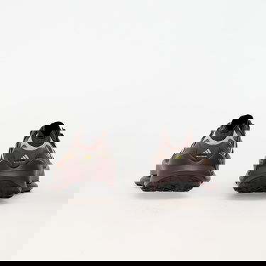 Superge in čevlji adidas Performance Terrex Agravic Rjava | JH6113, 4