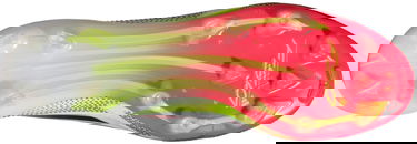 Superge in čevlji adidas Performance F50 Elite LL FG Bela | ie1214, 2