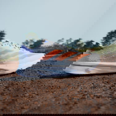 Superge in čevlji adidas Performance ADIZERO SL 2 Bela | ih8194, 5