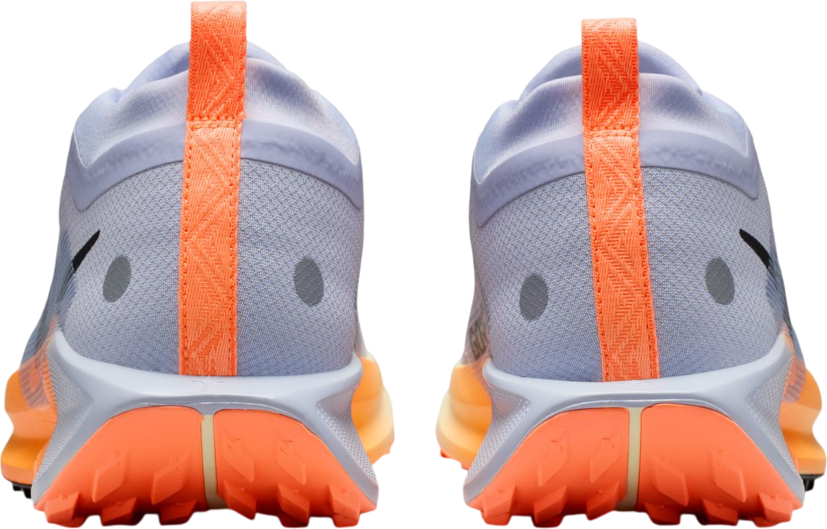 Superge in čevlji Nike Pegasus Trail 5 GORE-TEX Večbarvna | fq0908-011, 1