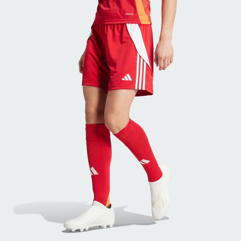 Kratke hlače adidas Performance Tiro 24 Rdeča | IR9373