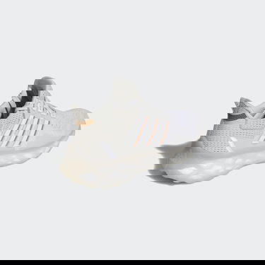 Superge in čevlji adidas Performance Ultraboost Web DNA Siva | GY8081, 2