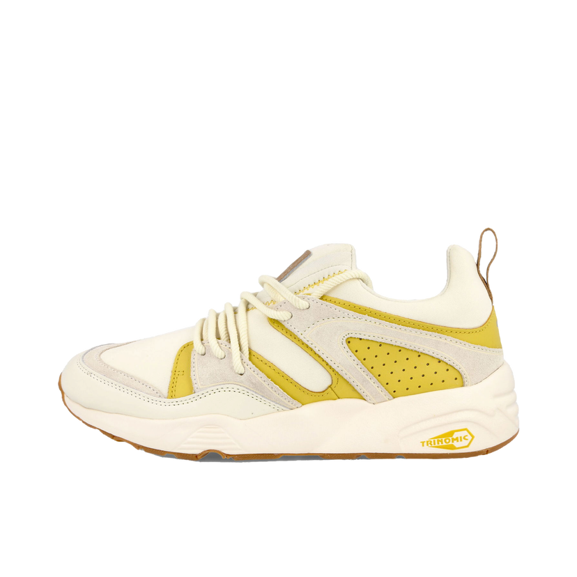 Superge in čevlji Puma Blaze of Glory D.South Rumena | 384024-01