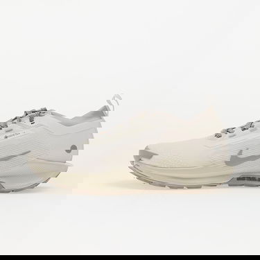Superge in čevlji Nike Pegasus Trail 5 Gore-Tex Bež | HQ7494-100, 0