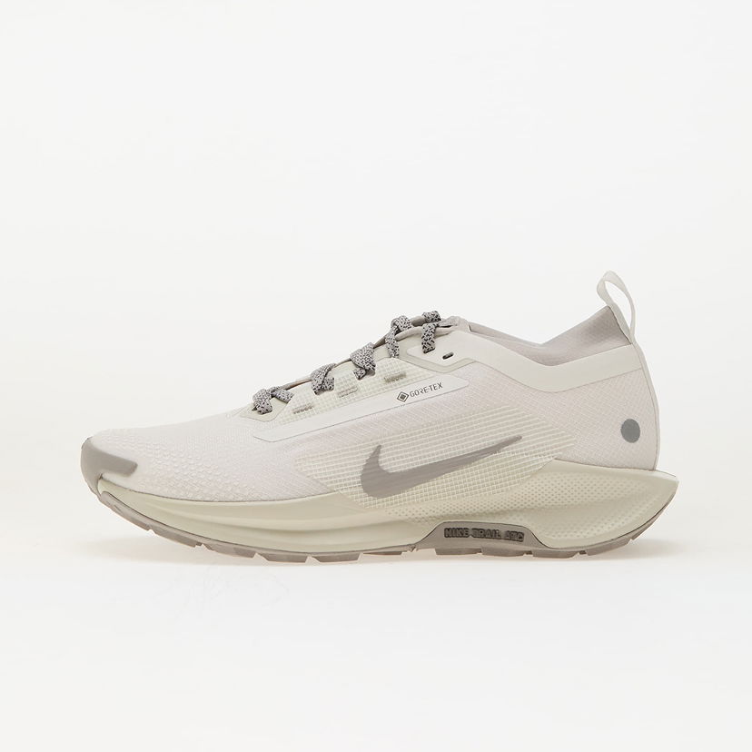 Superge in čevlji Nike Pegasus Trail 5 Gore-Tex Bež | HQ7494-100