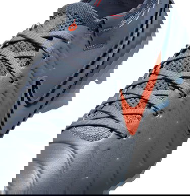 Superge in čevlji Nike LEGEND 10 ELITE FG Siva | dv4328-402, 4