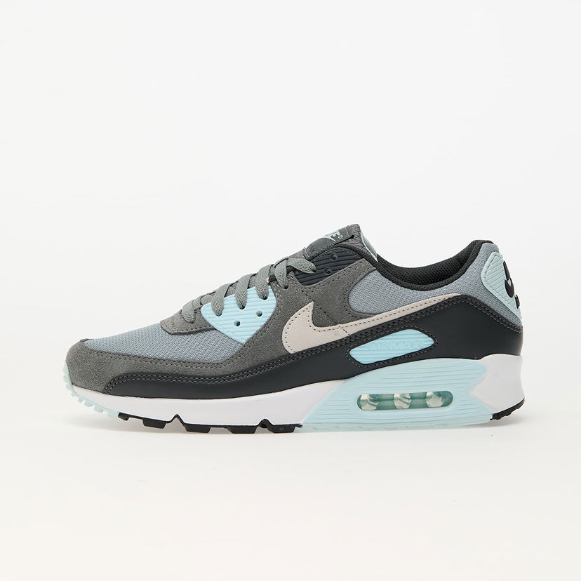 Superge in čevlji Nike Air Max 90 Light Siva | DM0029-009