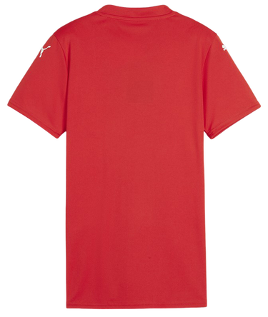 Dres Puma teamGLORY Jersey Wmns Rdeča | 705742-01, 1