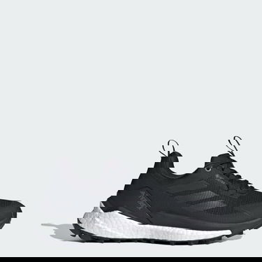 Superge in čevlji adidas Performance Terrex Free Hiker 2.0 Low Gore-Tex Črna | IH0671, 2