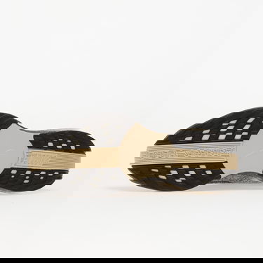 Superge in čevlji Nike Pegasus Plus Črna | IH4113-140, 1