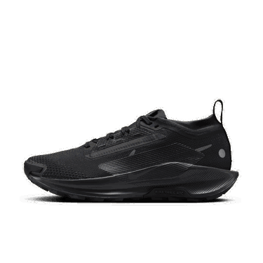 Superge in čevlji Nike Pegasus Trail 5 GORE-TEX Črna | FQ0912-002, 1