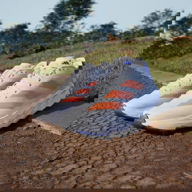 Superge in čevlji adidas Performance ADIZERO SL 2 Bela | ih8194, 7