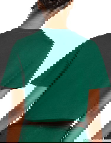 Majica Reebok IDENTITY BIG LOGO CROP TEE Zelena | 100076000, 2